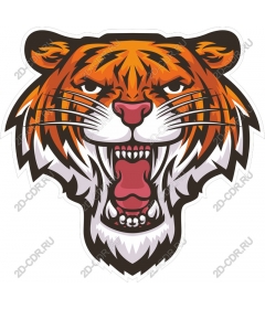 Roaring tiger head