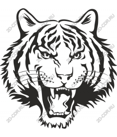  Roaring tiger
