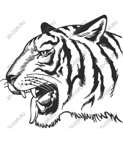 Head of a ferocious tiger
