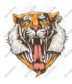  Roaring tiger