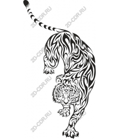  Tribal tiger
