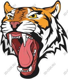 Roaring tiger head