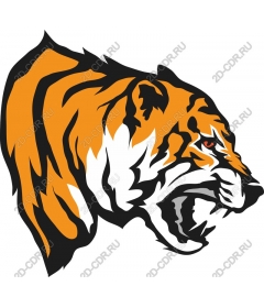 Head of a ferocious tiger