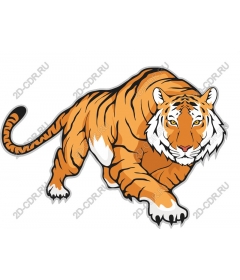  Crouching tiger