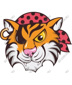  Pirate tiger