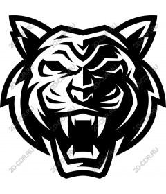 Head of a ferocious tiger
