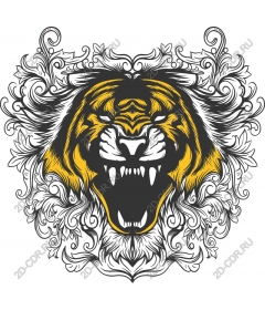 The majestic roaring tiger