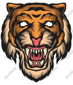  Fierce face of a tiger