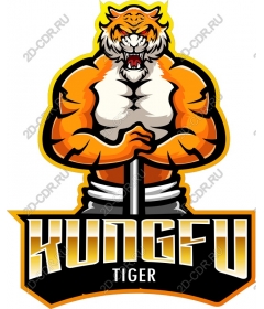Kung fu tiger work