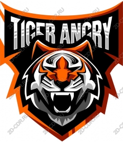  Fierce angry tiger