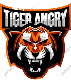  Angry tiger