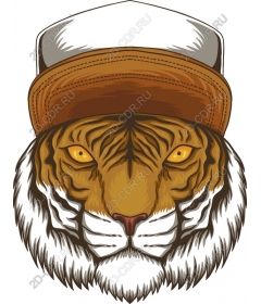 Stylish tiger in the cap