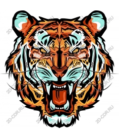 The majestic roaring tiger