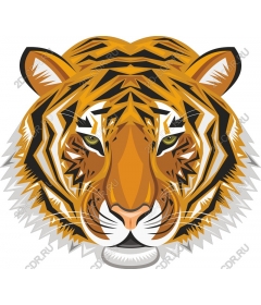 Majestic tiger head