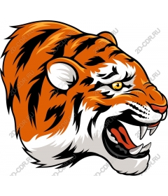 Roaring tiger head