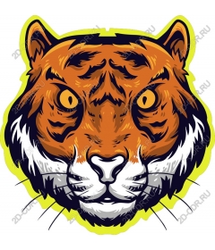 Head of a ferocious tiger