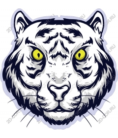  A majestic white tiger head