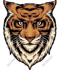Majestic tiger head