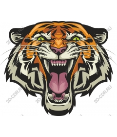 Head of a ferocious tiger