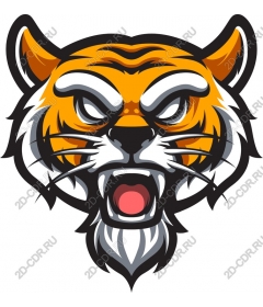 Head of a ferocious tiger