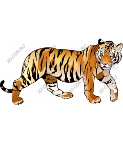  Величественный тигр