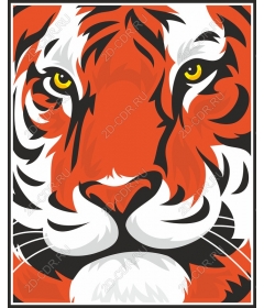  Bright tiger