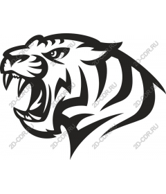 Tiger head