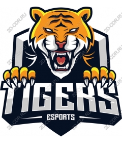  Tigers ESports