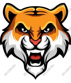 Head of a ferocious tiger