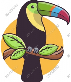  Bright Toucan