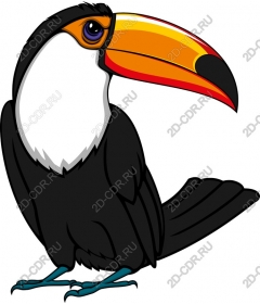  Bright Toucan