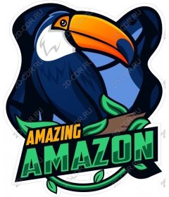  Amazing Amazon Toucan