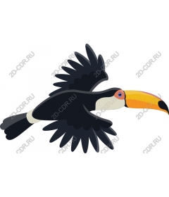  Tropical Toucan flying