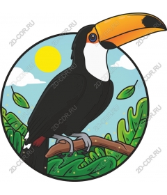  Tropical Toucan