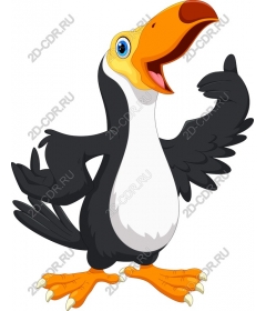 Playful Toucan