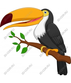  Bright cartoon Toucan