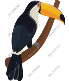  Bright Toucan