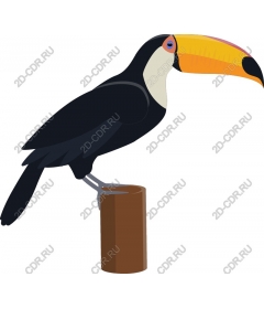  Bright Toucan sitting