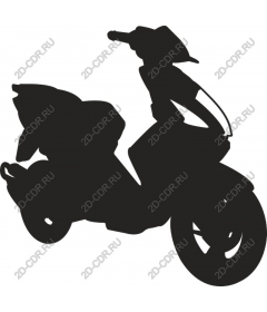 Premium scooter