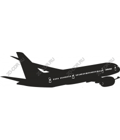  Elegant plane
