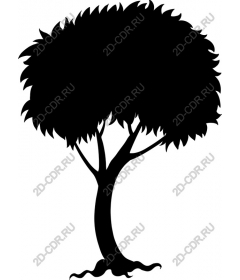  Elegant tree