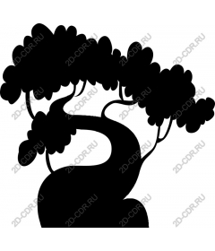  Elegant bonsai tree