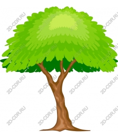 Lush green tree