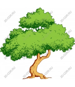 Lush green tree