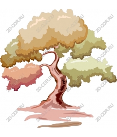  Elegant natural wood