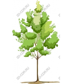 Lush green tree