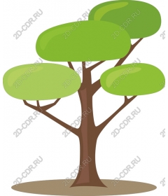 Lush green tree