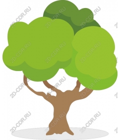 Lush green tree
