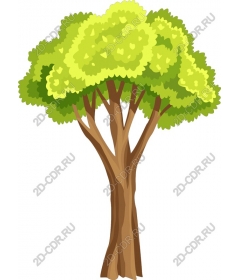 Lush green tree
