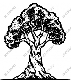  Elegant tree (/)